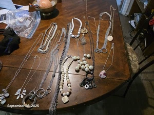 Jewelry Contemporary Lot Of 15 Necklaces - Picture 1 of 8