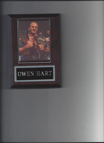 OWEN HART PLAQUE WRESTLING WWE WWF Cover