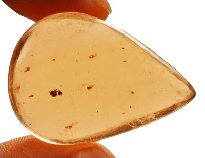 25.90 Cts. Natural Genuine Old Baltic Amber Untreated Certified Gemstone - Image 1 of 4