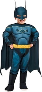 Batman 2T Toddler DC Superpets Licensed Toddlers Fancy Dress Kids Costume NEW - Picture 1 of 5