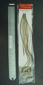 Lotto confezioni gallo mosca secco nuove Whiting 100 varianti uniche taglia 16 - SF 355 - Foto 1 di 5