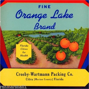 Citra Marion County Florida Orange Lake Orange Citrus Fruit Crate Label Print - Picture 1 of 1
