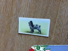 Vintage PRIORY TEA Trading Swap Card - I-SPY DOGS - No 17 1957 t2-1