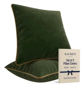 Juego de 2 fundas de almohada decorativas de terciopelo de 20x20 pulgadas  - Imagen 1 de 5