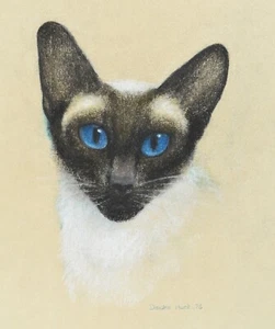 Signed Deidre Hunt Pastel on Paper of A Siamese Cat 'Linky' Australian Artist - Picture 1 of 11