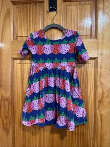 Little Girl Hanna Andersson Dreamy Berries Skater Dress with Pockets Size 4 - Picture 1 of 6