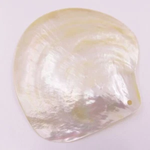 60-80mm Natural Light Golden Mother of Pearl Sea Shell Display Dish Home Decor - Picture 1 of 5