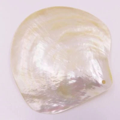 60-80mm Natural Light Golden Mother of Pearl Sea Shell Display Dish Home Decor - Image 1 of 4