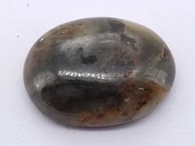 46.55 Ct Natural Untreated EGL Certified Oval Cab Bi-Color Huge Sapphire - Image 1 of 4