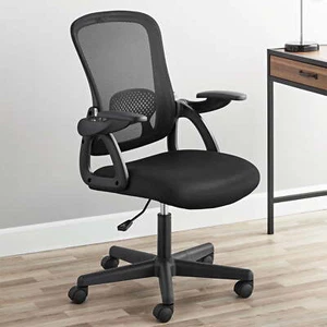 Mainstays Ergonomic Mesh Back Office Chair with Flip Up Arms for Adults - Picture 1 of 12