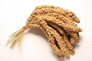 1KG Premium Millet Spray 1kg Cage Bird Hanging Treat Budgie Canaries Cockatiels - Picture 1 of 4