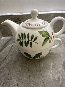THE NATIONAL TRUST BRITISH TREES OAK / ASH / YEW & ROWAN TEA FOR ONE TEAPOT - Picture 1 of 9