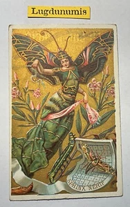 Chrom Au Bon Marché - Schmetterling Sphinx Nerif - Bild 1 von 2