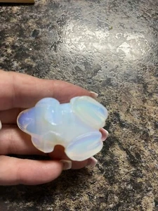 Fire Opal frog - Picture 1 of 7