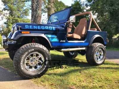 Juego de llamaradas de guardabarros texturizadas estilo OE para Jeep Wrangler 55-86 CJ CJ5 CJ7 Foto 1 de 4