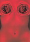 Advertising Postcard, Interflora, Valentine's Day, Red Roses, Navel, Breasts RA5