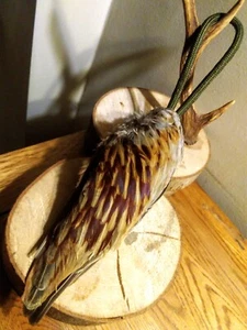 Handmade Gundog Training Pheasant Wings Dummy 180-230g - Picture 1 of 4