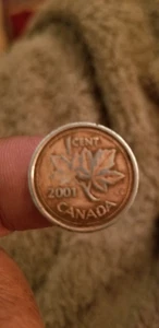 1 cent Canada 2001 p, 2,20g n-magnetic original - Picture 1 of 2