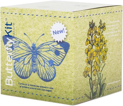 Butterflykit, Il Kit per Allevare in Casa Le Farfalle Di Cavolaia Maggiore - Esp - Immagine 1 di 4
