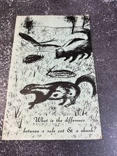 What is the Difference Between a Pole Cat & a Skunk? by W. Jack Hudson