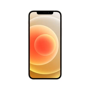 iPhone 12 (64 Go) - Blanc - Photo 1/8