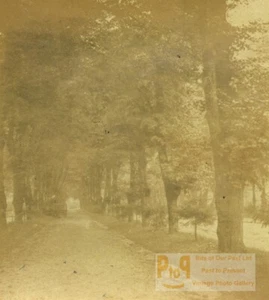 France Plombieres Promenade des Dames Old Half-Stereo Photo Valecke 1865 - Picture 1 of 3