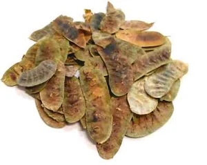 Senna Pods Sun Dried Grade A* Premium Quality Free UK P&P UK 50g-950g - Picture 1 of 1