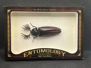 2009 UD Goodwin Champions Entomology - Fancy Click Beetle - #ENT13 - 1/1 Bug UDA - Picture 1 of 2