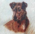 IRISH TERRIER OIL ON BOARD DOG PAINTING IN ITS ORIGINAL WOODEN FRAME 