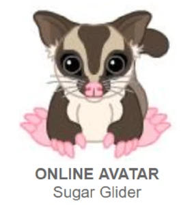 Webkinz Classic Sugar Glider *solo codice* (~messaggiato~) - Foto 1 di 3