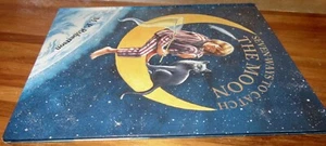 Seven Ways to Catch the Moon ~ M. P. Robertson. 1st Hb 1999 HERE in MELB - Foto 1 di 22