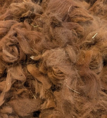 Raw Alpaca Fleece Wool Thirds Spinning Felting Crafts, Red Brown, 8 Oz - Image 1 of 2