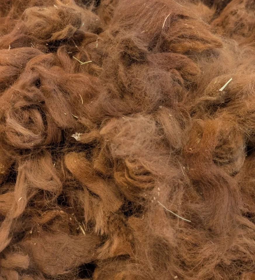 Raw Alpaca Fleece Wool Thirds Spinning Felting Crafts, Red Brown, 8 Oz - Image 1 of 2