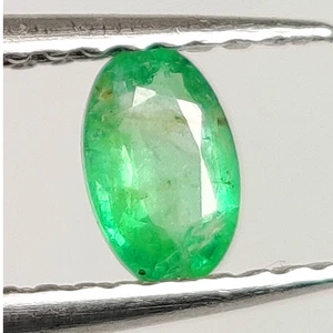 0,24 quilates - Esmeralda natural de Zambia forma ovalada buen brillo gema - 8399 - Imagen 1 de 2