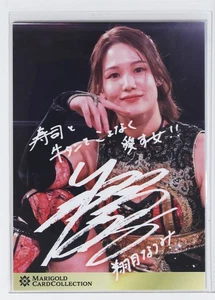 NATSUMI SHOWZUKI No.030 [no pintado a mano] - Tarjeta de CARIGOLDA de lucha libre profesional para mujer - Imagen 1 de 3