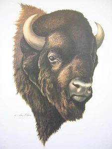 Impresión artística firmada de Harry Antis Old American Buffalo Bison edición limitada - Imagen 1 de 1