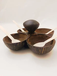 4 in 1 Coconut Shell Thook/Container - Picture 1 of 4