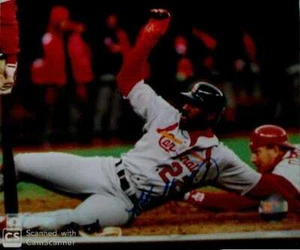 MARK WHITEN SIGNED ST LOUIS CARDINALS 8X10 PHOTO #1 - Picture 1 of 1