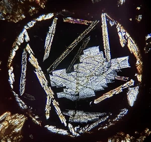 Meteorite NWA 12009 - LL3 Chondrite RARE Glass Chondrule !! - Thin Section - Picture 1 of 19