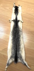21’’ CROSS MINK FUR SKIN PELT - Picture 1 of 2