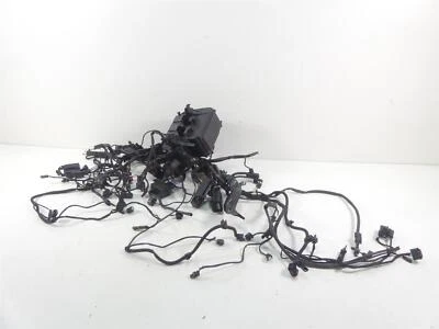 BMW R1200GS GSW K50 2017 arnés de cableado principal y del motor agarre del ESA 61118350519 Foto 1 de 4