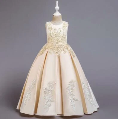 Niños Niño Princesa Vestido Niña Encaje Vestido de Baile Fiesta Concurso Baile de graduación Vestidos de Boda Foto 1 de 4