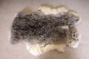 Schönes graues Hasenfell Länge: 41cm Rabbit Fur - Bild 1 von 2