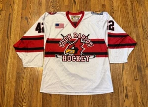 Coon Rapids Cardinals Minnesota High School MSHSL Game Worn Flow Hockey Jersey - Picture 1 of 21