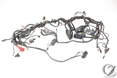 Telar arnés de cables principal BMW R1200GS Adventure 06 Foto 1 de 4