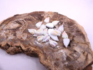 Rhinestones Leaf glass 12 Pack 16.5 x 13mm White Pink green iridescent Vintage - Picture 1 of 3