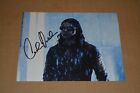 CARLOS VALDES  signed autograph In Person 8x10 20x25 cm THE FLASH ARROW