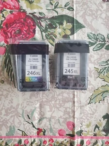 Canon 245XL Black Ink Cartridge And 246XL Color EMPTY FOR REFILL ONLY - Zdjęcie 1 z 1