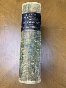 Yeo's Manual of Physiology, 1890 Leather Hard Bound Amazing Patina - Picture 1 of 6