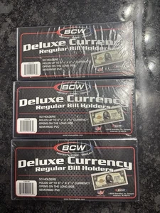 Protectores porta billetes regulares BCW Deluxe moneda semi rígidos PVC 150 en total - Imagen 1 de 3